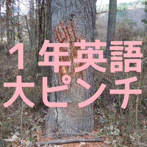 １年生 英語のピンチに気づいてない さくら塾のブログ